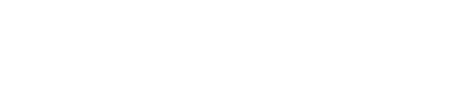 DNIT_Monocromatico-1